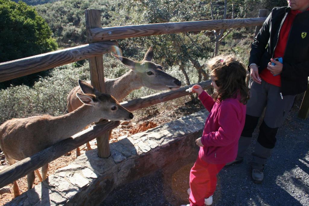 Complejo Turistico Canadas Casas De Campo- Actividades Gratuitas Todos Fines De Semana Landhuis